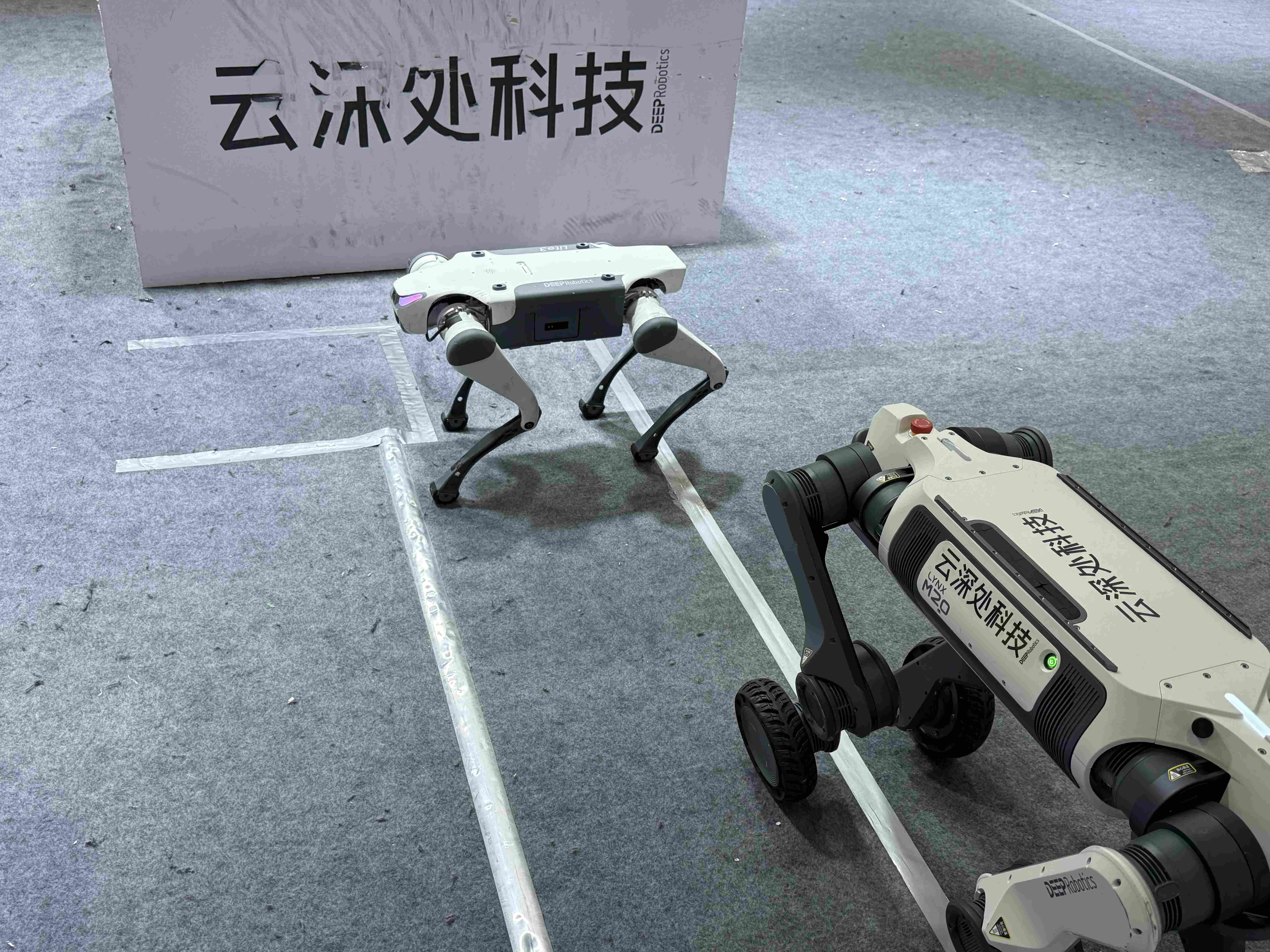 WAIC展会图片9